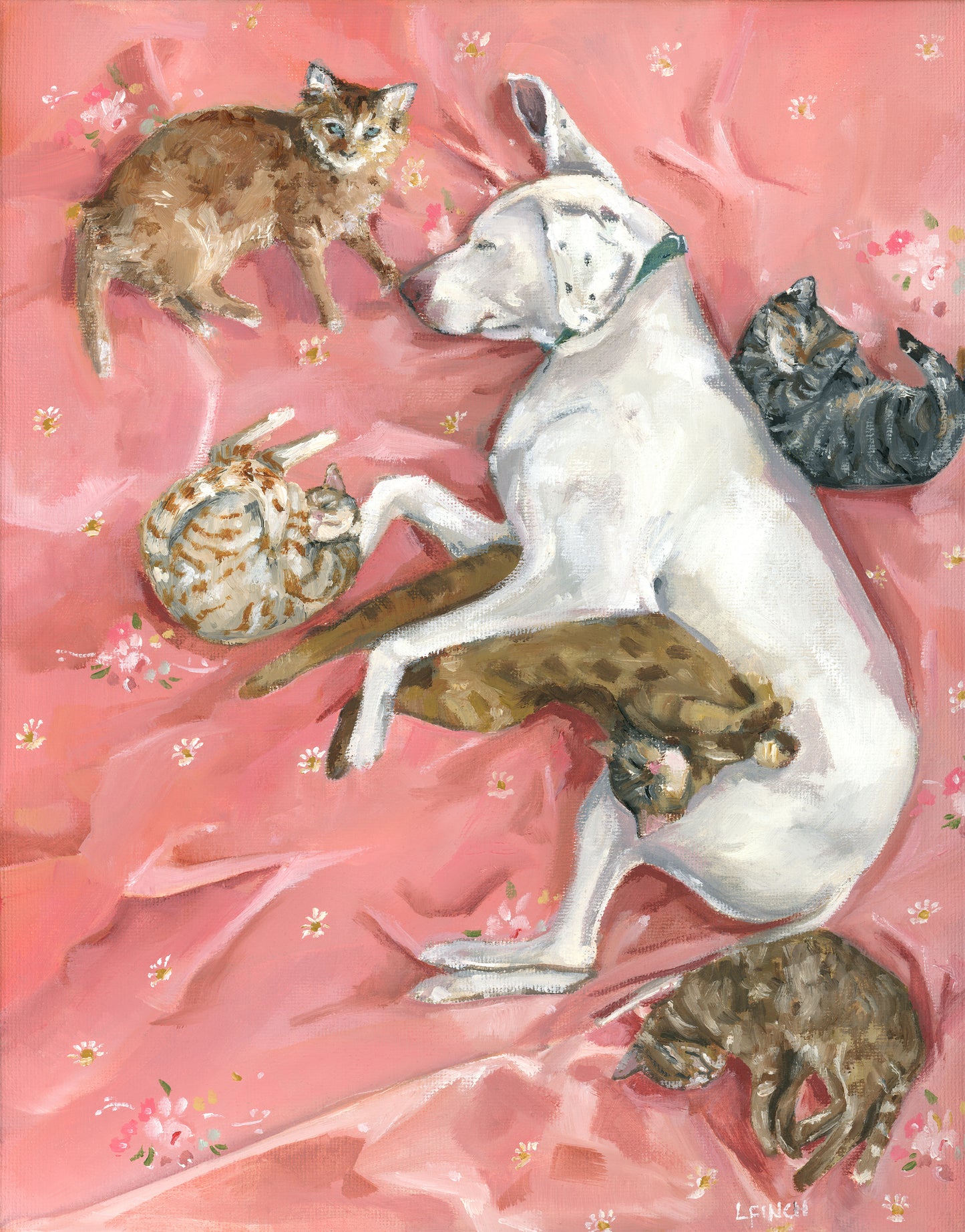 Lazy Daisy - Fine Art Print