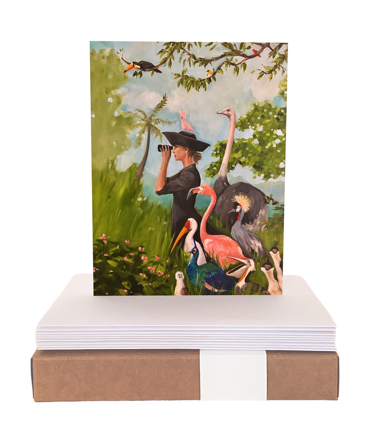 The Birdwatcher - Boxed Set of 8