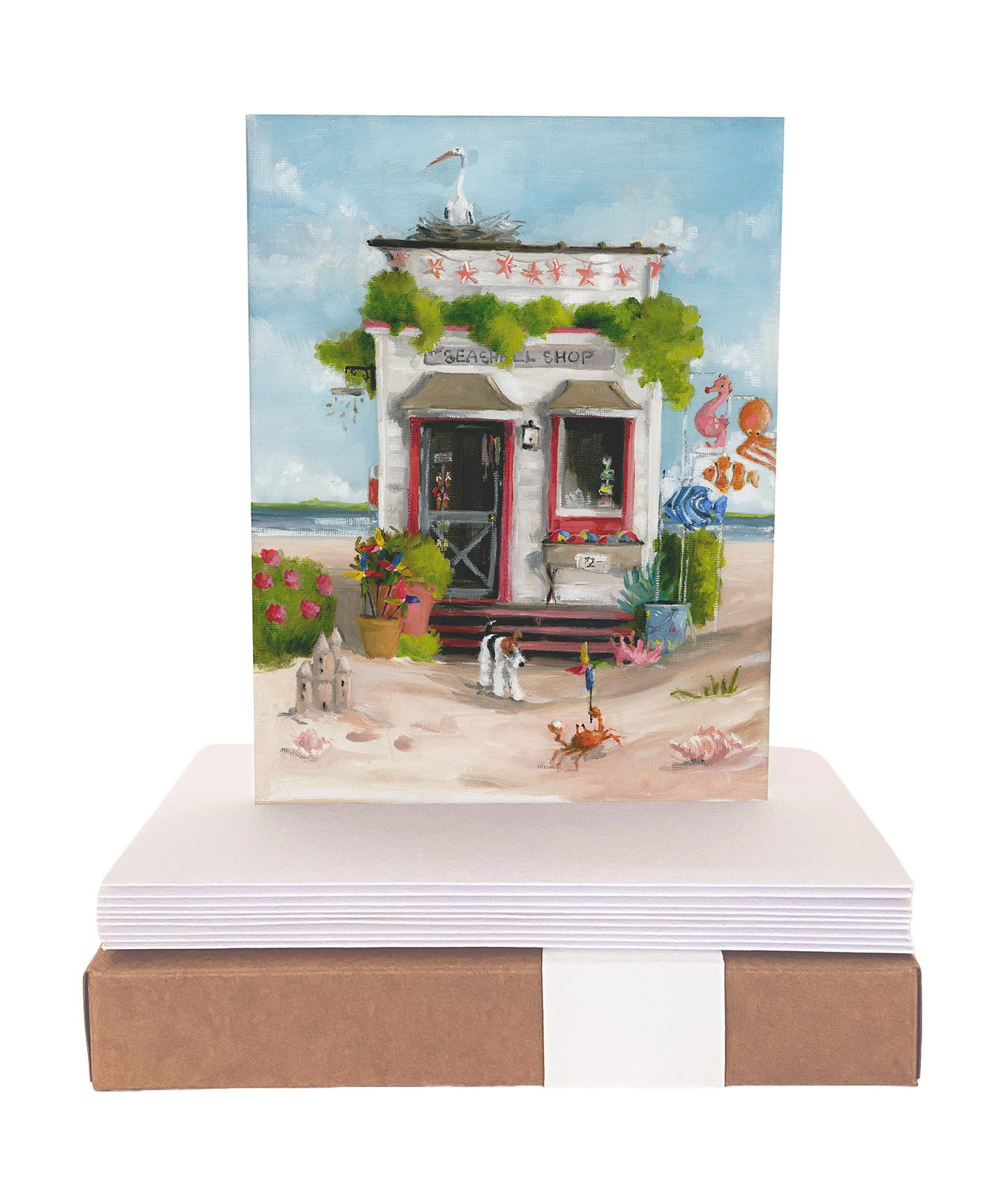 The Seashell Shop - Boxed Set of 8