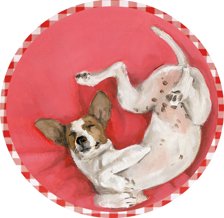Silly Pup Place Cards - Set of 8