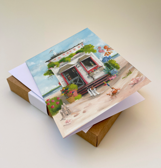 The Seashell Shop - Boxed Set of 8